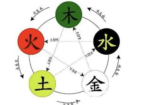 林 五行屬性|林字的五行属性